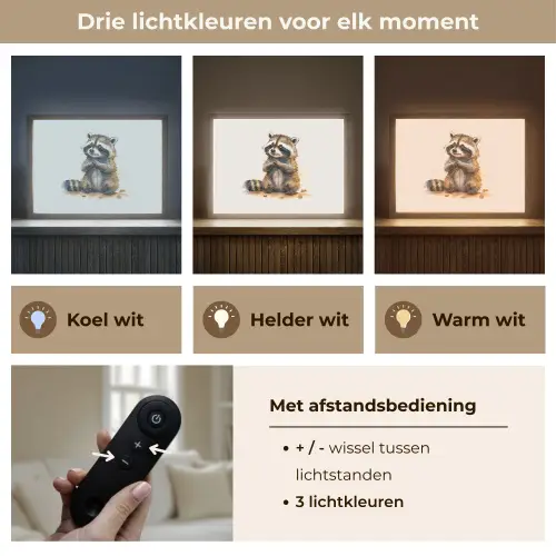 Wasbeer - Waterverf - Kleuren - Dieren - Kids Light Box met batterij (Wandlamp kind) middel -USP_lichtkleurNL