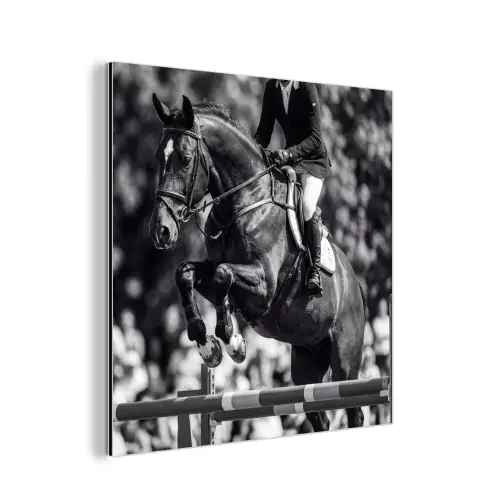 Springen - Paard - Zwart - Wit aluminium wit klein -3d