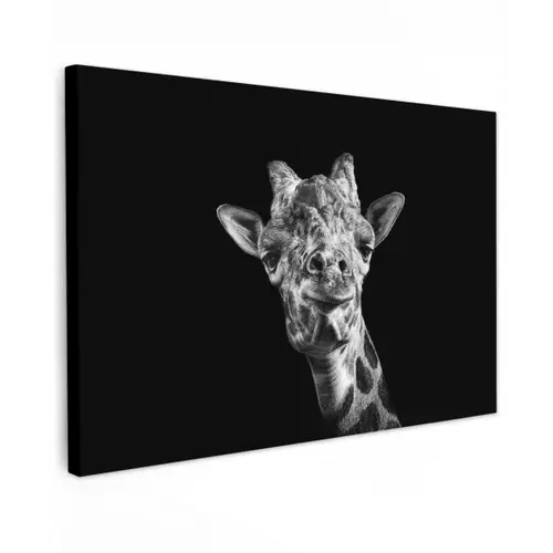 Giraffe - Dier - Zwart - Wit canvas 2cm klein -z3d