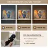 Olifant - Kunst - Dieren Light Box met batterij (Wandlamp) middel -USP_lichtkleurNL