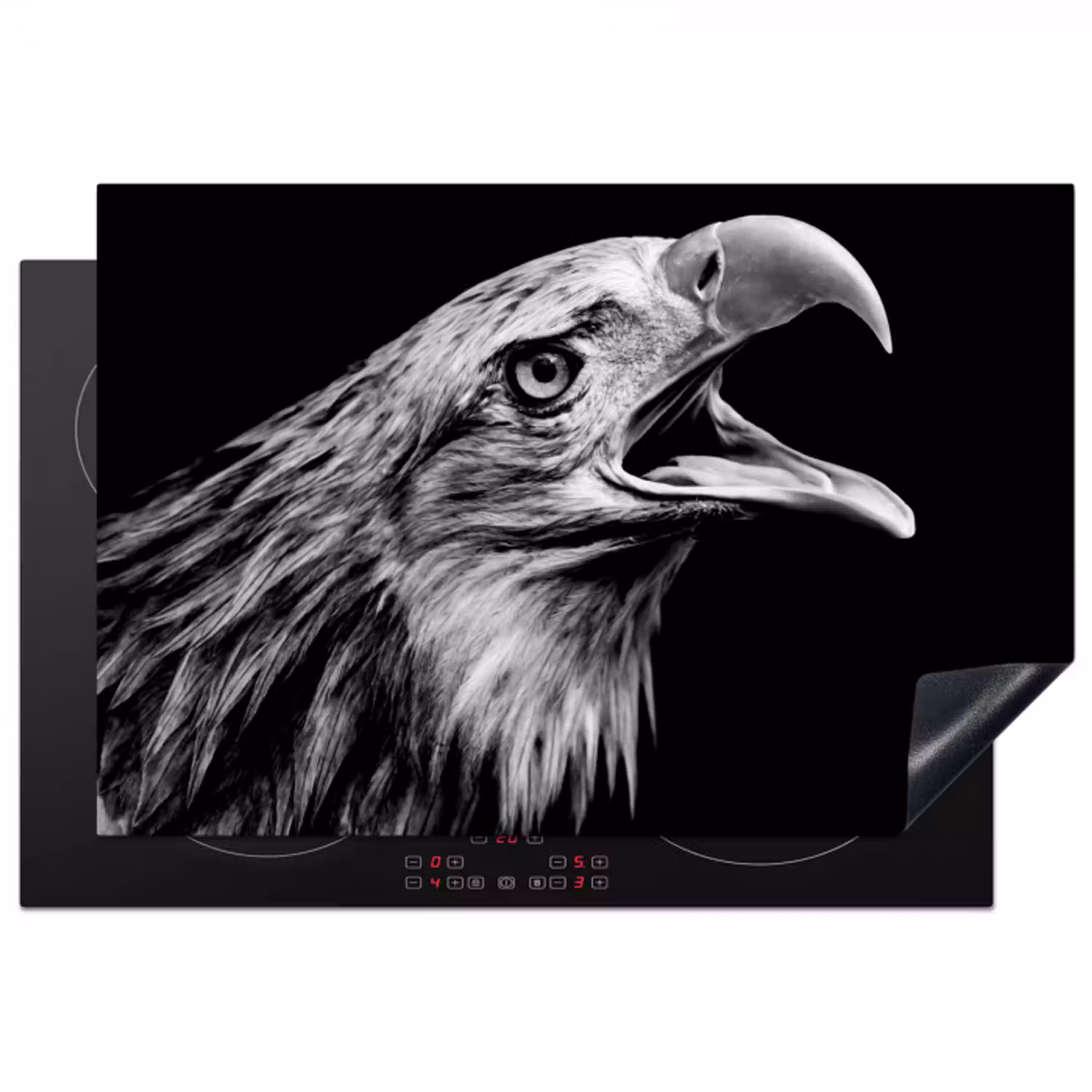 Adelaar - Portret - Roofvogels - Zwart - Wit - Vogel Inductie beschermer vinyl 3mm klein -3d