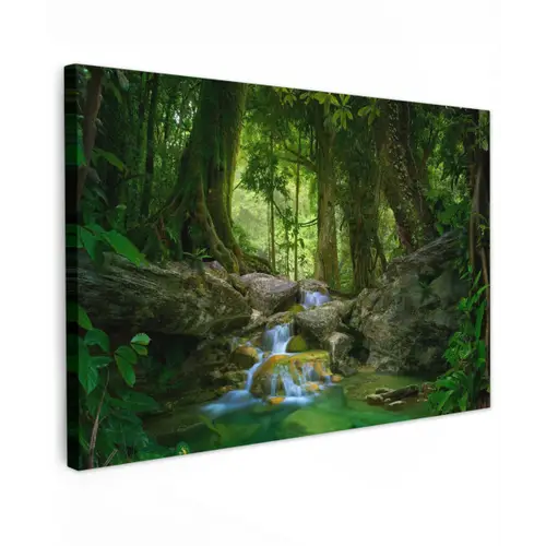 Jungle - Stenen - Water - Natuur - Planten Tuinposter op houten frame 2 cm dik klein -3d
