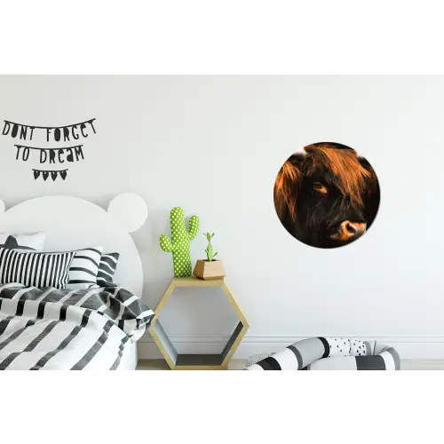 Schotse hooglander - Zwart - Koe - Hoorn - Dieren Wandcirkel aluminium klein -kinderkamer