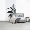 Plant - Bladeren - Minimalistisch - Zwart fotobehang vinyl groot -slaapkamer