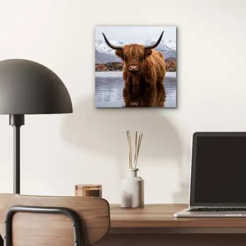 Schotse hooglander - Bruin - Water aluminium wit klein -sfeer5