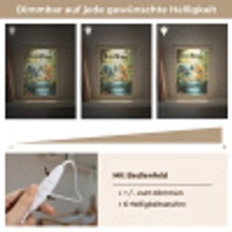 Olifant - Tijger - Bos - Jungle Light Box met kabel (Kinderlampje) klein -USP_dimbaarDE