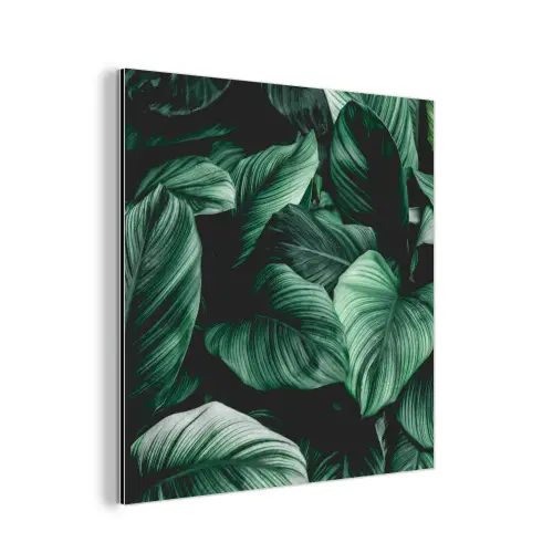 Jungle - Bladeren - Tropisch - Planten - Natuur aluminium wit klein -3d