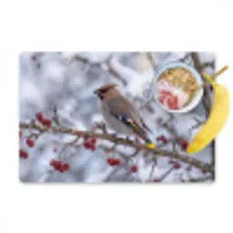 Pestvogel - Bessen - Winter - Natuur Placemat vinyl groot -zzzproduct_Kitchenyeah-website