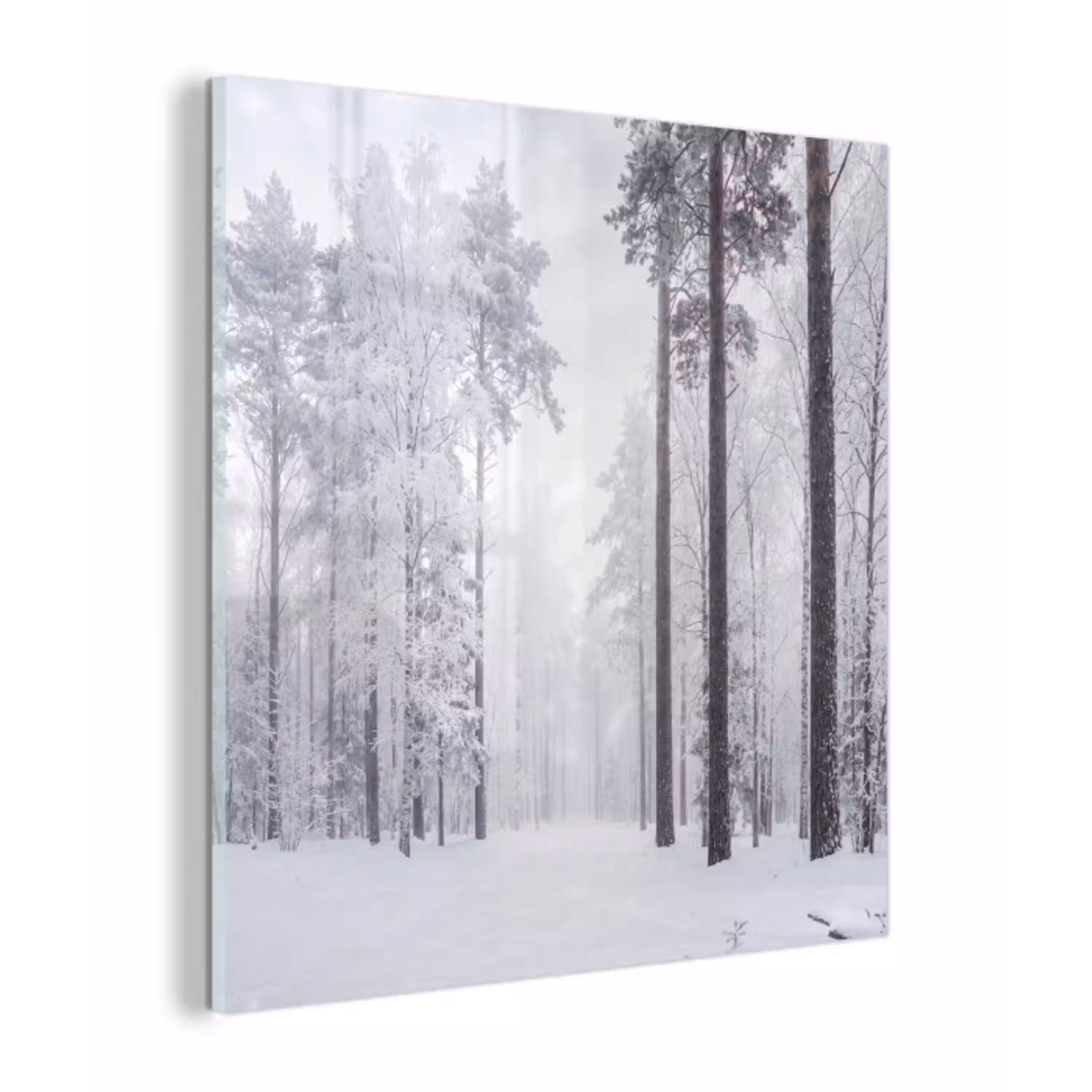 Bos - Sneeuw - Pad - Winter - Stilte plexiglas 5mm klein -z3d