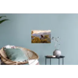 Zeearend - Boom - Bergen - Groen Muursticker klein -plant