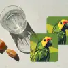 Papegaai - Groen - Snavel - Abstract onderzetter kurk middel -sfeer4