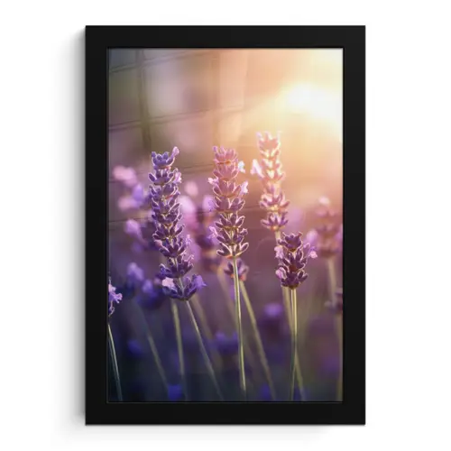 Lavendelbloemen - Paars - Zonlicht fotolijst zwart zonder passe partout klein -3d