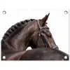 Portret - Paard - Elegant tuinposter los doek klein -3d