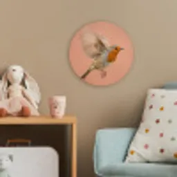 Roodborst - Natuur - Roze Wandcirkel kunststof plaat 5mm dik klein -tsfeer1_kind