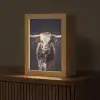 Stier - Kleurrijk - Hoorns Light Box met kabel (Tafellamp) klein -z3d_website