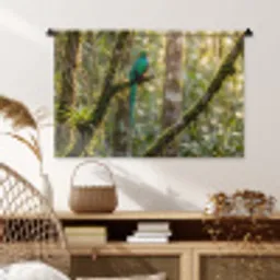 Quetzal - Jungle - Natuur - Groen Wandkleed katoen middel -sfeer5