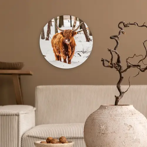 Schotse Hooglander - Sneeuw - Winter - Natuur - Dieren Wandcirkel kunststof plaat 5mm dik klein -sfeer1