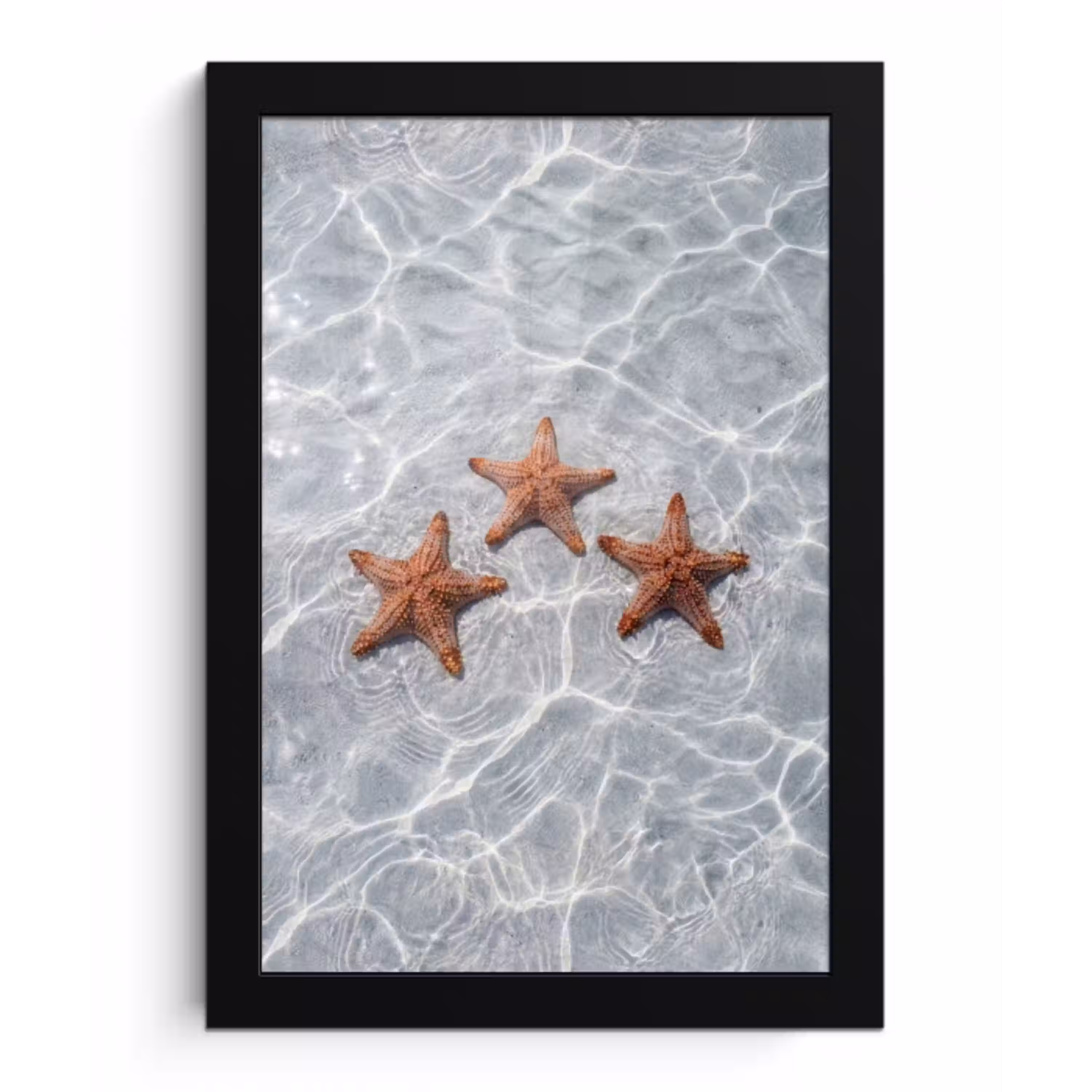 Zeesterren - Water - Helder fotolijst zwart zonder passe partout klein -3d