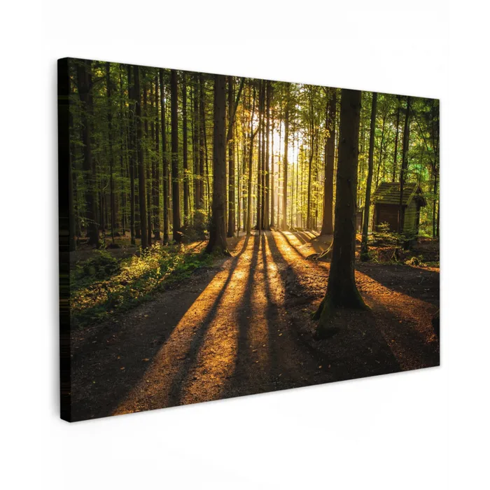 Avondlicht in het bos Tuinposter op houten frame 2 cm dik klein -3d