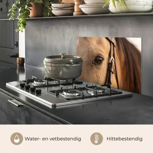 Paard - Oog - Bruin keuken achterwand spatscherm klein -usp_NL