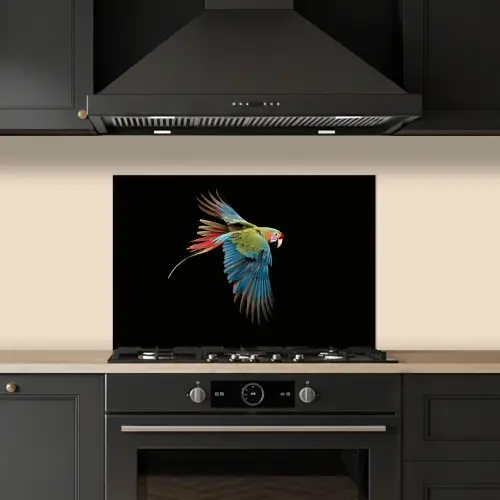 Papegaai - Kleurrijk - Vleugels - Sierlijk keuken achterwand spatscherm klein -sfeer1