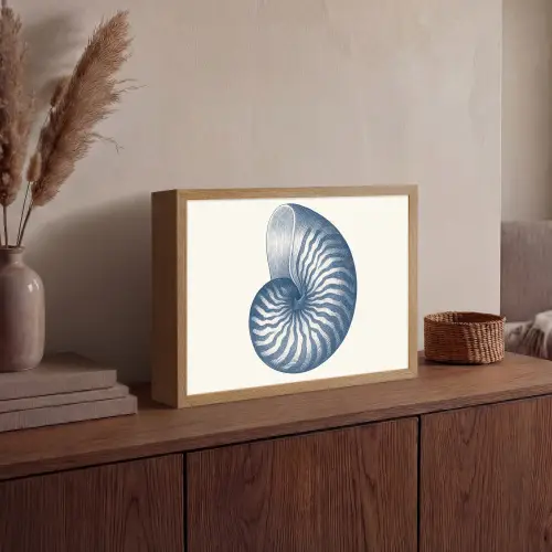 Blauw - Schelp - Spiraal Light Box met batterij (Wandlamp) middel -sfeer2