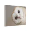 Uil - Bruin - Wit PET vilt klein -3d