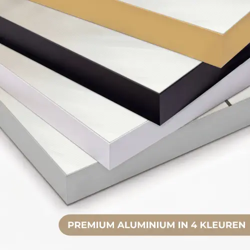 Bloem - Beige - Verf - Schaduw Textielframe zwart klein -USP_kleurenNL