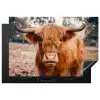 Koe- Schotse hooglander - Hoorns - Bruin - Landschap Inductie beschermer vinyl 3mm klein -3d