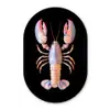 Kreeft - Roze - Zacht - Zwart Wandcirkel Ovaal Glas middel -3d