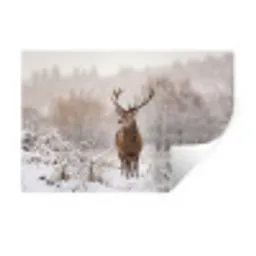 Edelhert - Bos - Sneeuw - Winter - Majestueus Muursticker klein -3d