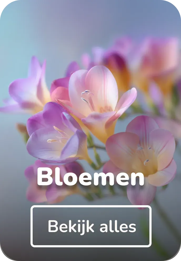 Schoolplaat bloemen