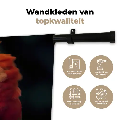 Close-up - Papegaai - Veren - Oranje Wandkleed katoen klein -sfeer2
