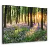 Bos - Bloemen - Lavendel - Zon - Paars - Natuur Textielframe - compleet frame klein -3d