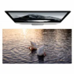 Eenden - Water - Natuur Muismat XXL klein -zzz3d