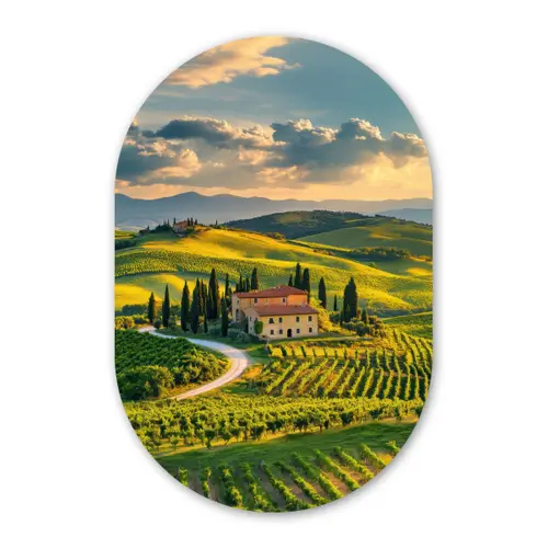 Toscane - Landschap - Wijngaarden Wandcirkel Ovaal Forex klein -3d