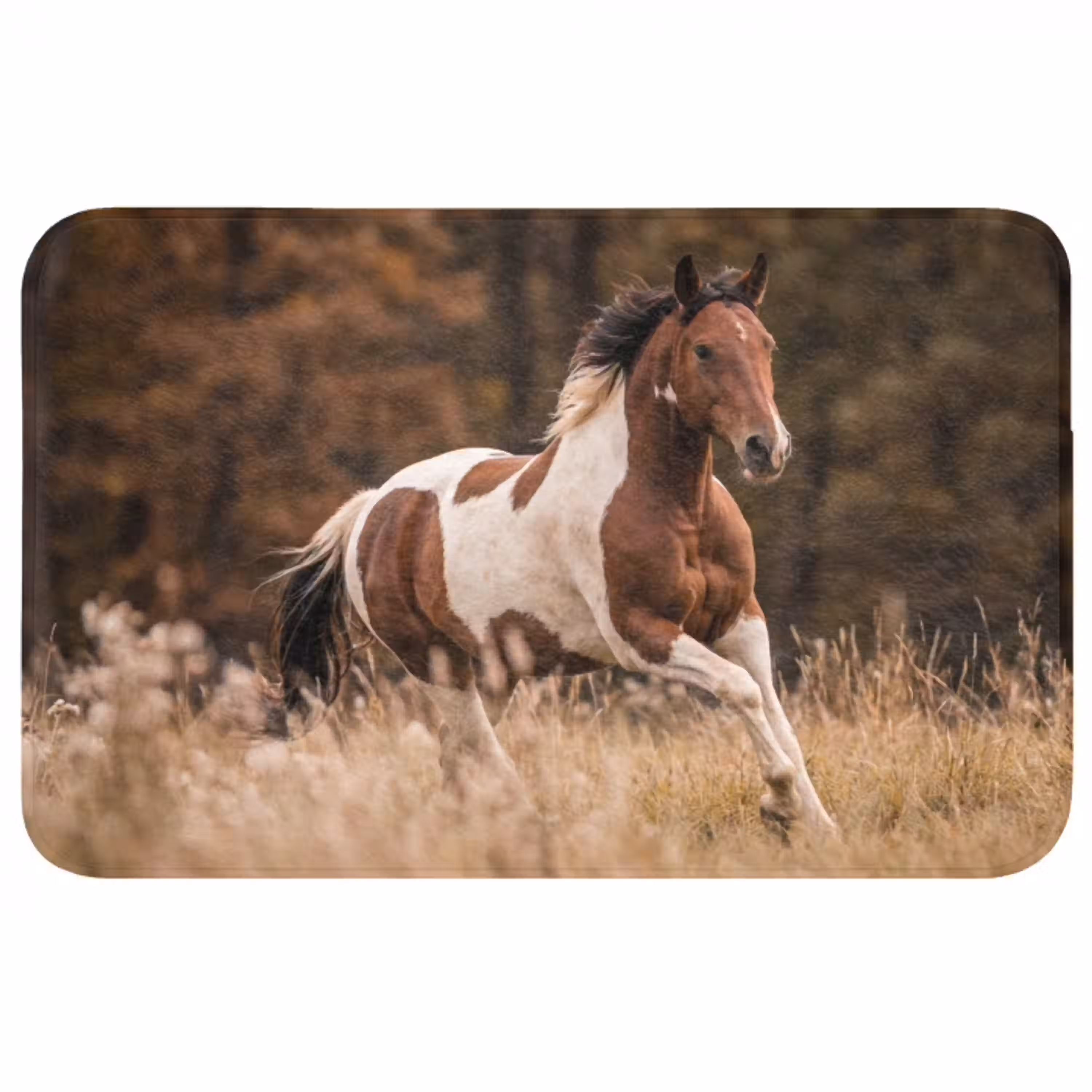 Paard - Bruin - Gras WCmat middel -3d