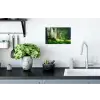Natuur - Bomen - Bos - Groen - Zon Muursticker klein -keuken