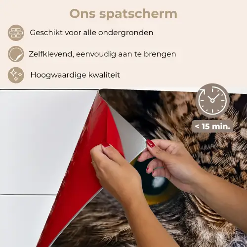 Uil - Dier - Oranje keuken achterwand spatscherm klein -spatscherm_NL