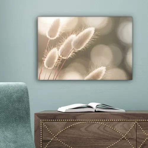 Hazestaartgras - Wit - Zonlicht canvas 2cm klein -sfeer4