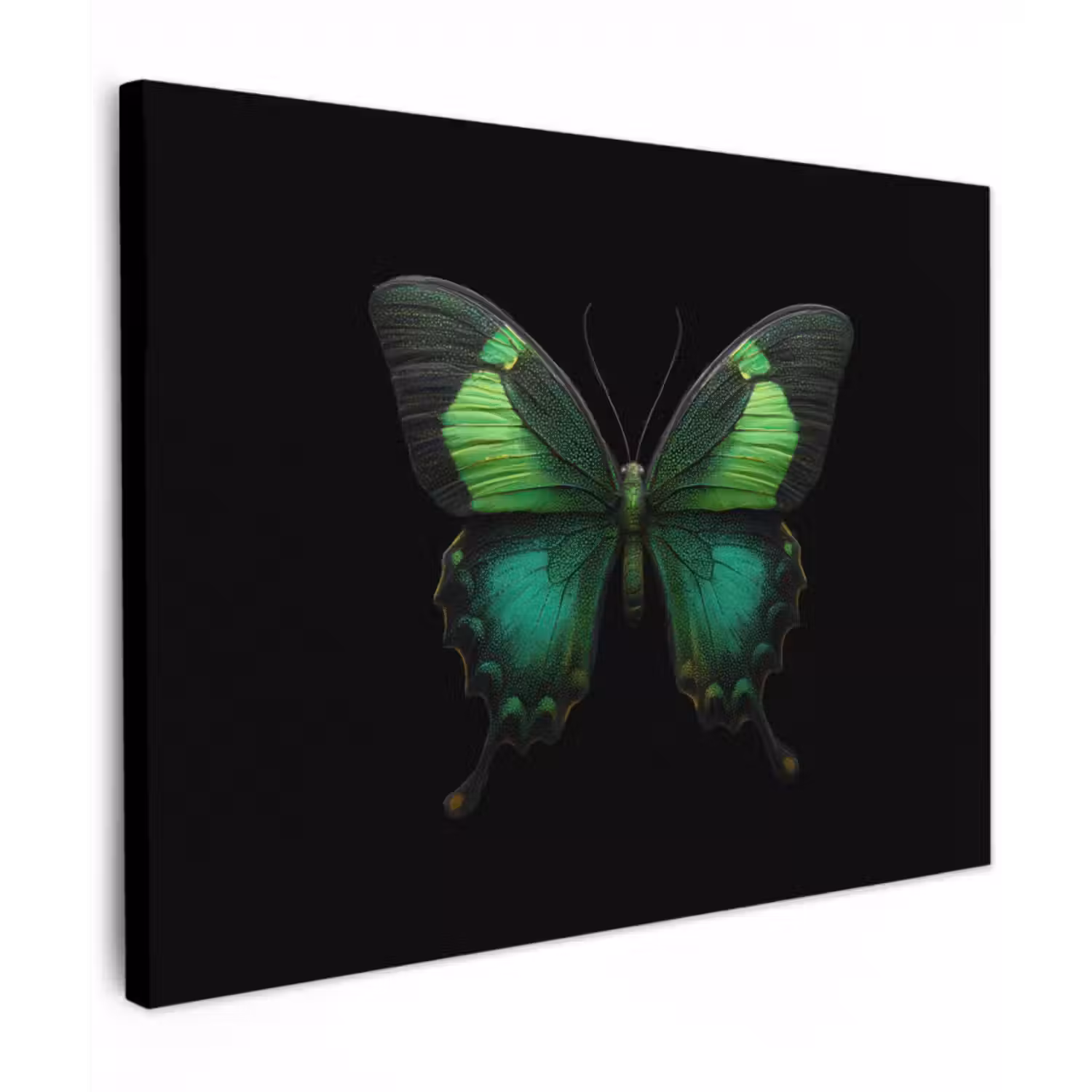 Canvas schilderij - Vlinder - Groen - Opvallend