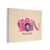 Camera - Memories - Roze - Geschilderd PET vilt klein -3d
