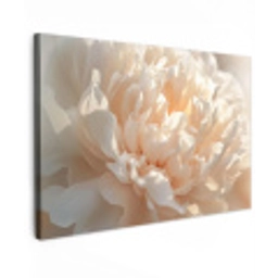 Close up - Pioenroos - Lichtroze Tuinposter op houten frame 2 cm dik klein -3d