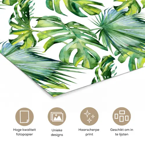 Bladeren - Monstera - Tropical - Jungle poster papier klein -closeup_NL