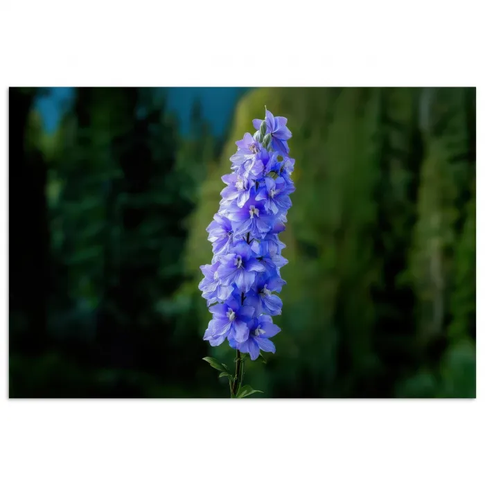 Bloemen - Blauw - Dennenboom poster papier klein -3d