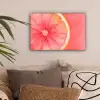 Grapefruit - Roze - Levendig canvas 2cm klein -sfeer1