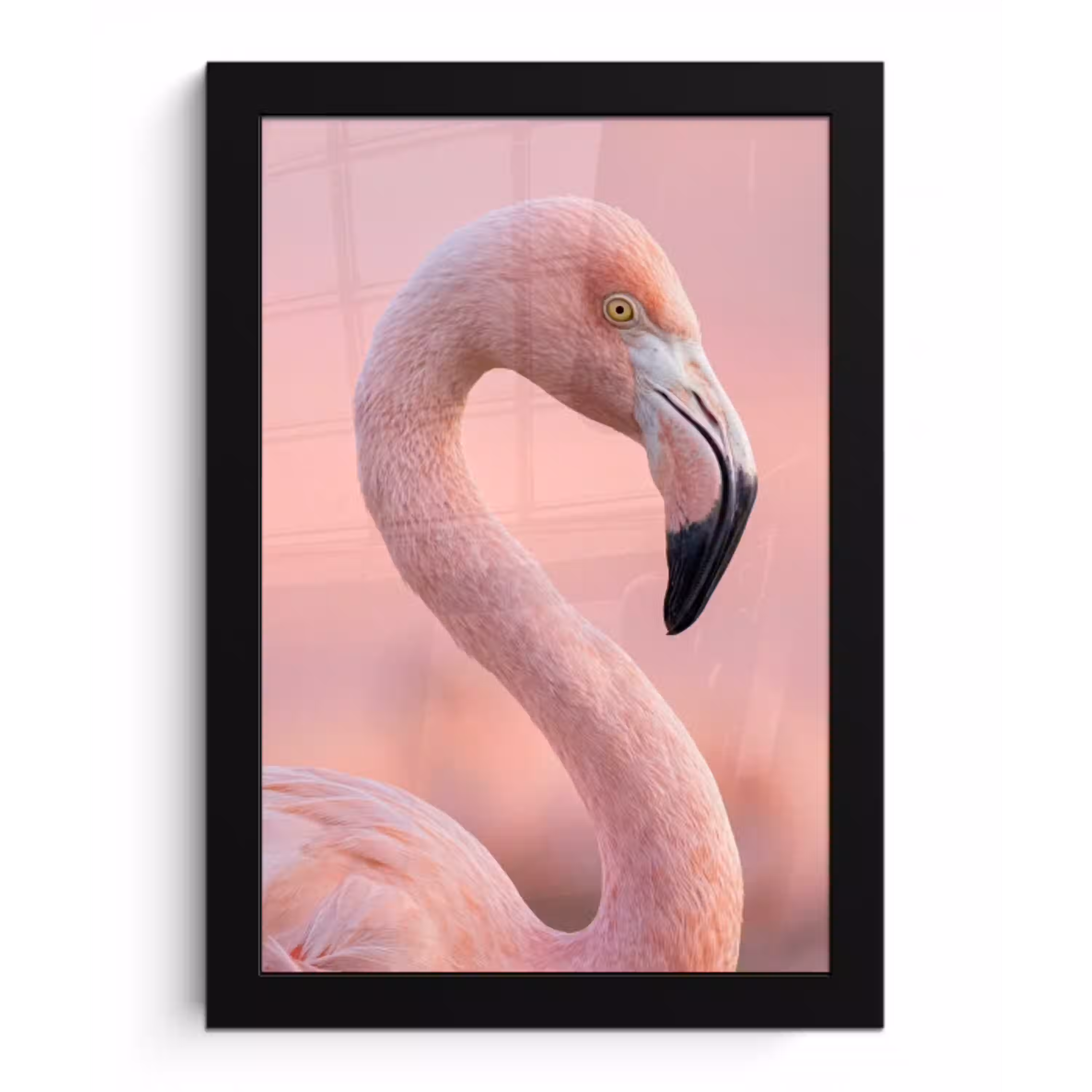 Flamingo - Portret - Roze fotolijst zwart zonder passe partout klein -3d