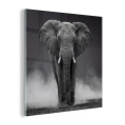 Olifant - Zwart - Wit - Rook plexiglas 5mm klein -z3d