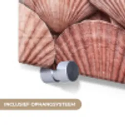 Schelpen - Patroon - Roze plexiglas 5mm klein -zzsysteem_NL