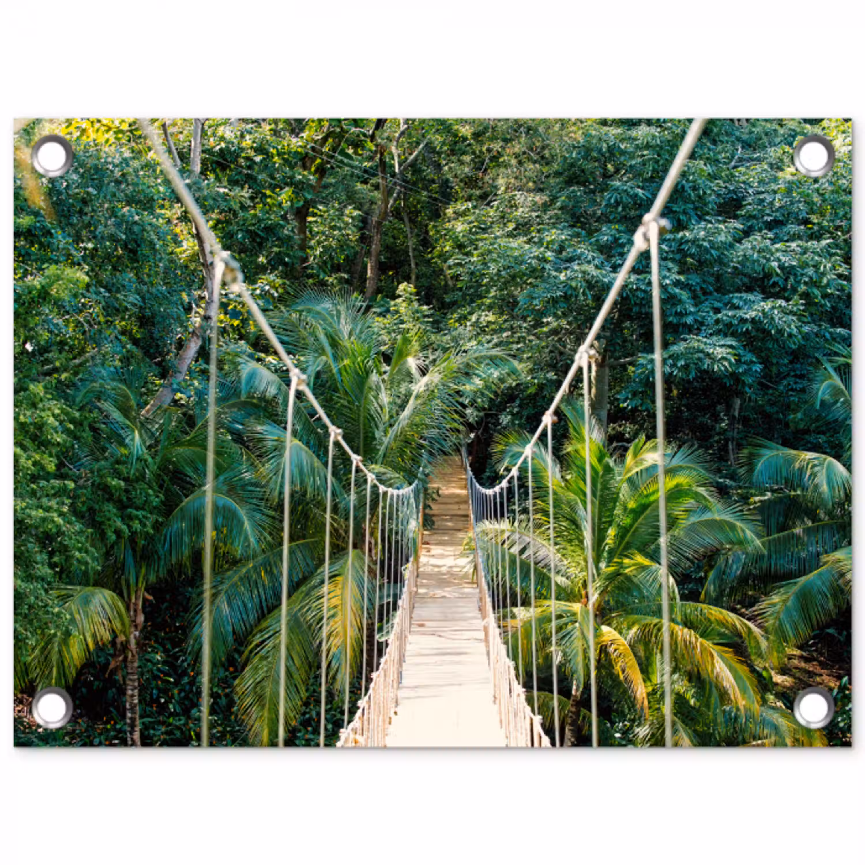 Jungle - Palmboom - Brug - Natuur - Planten tuinposter los doek klein -3d